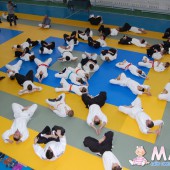 AIKIDO