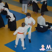 AIKIDO